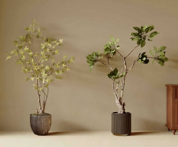 Modern Ground Green Plant Potted Plants-ID:646105055