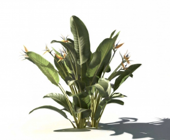 Modern The Grass-ID:281308892