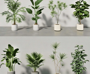 Modern Ground Green Plant Potted Plants-ID:705610048