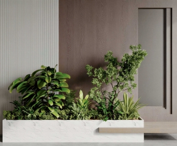 Modern Plant Landscaping-ID:408463958