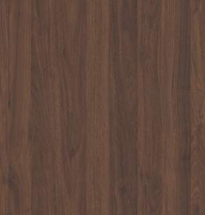 ModernWood Texture