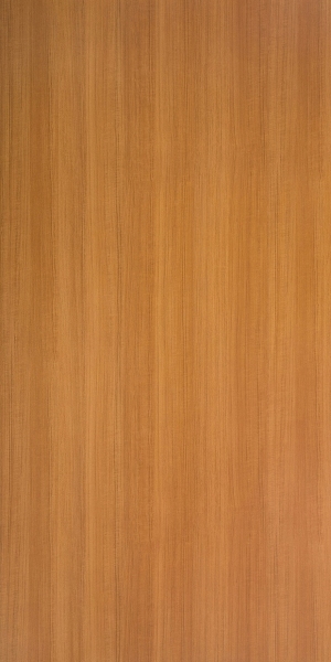 ModernWood Texture