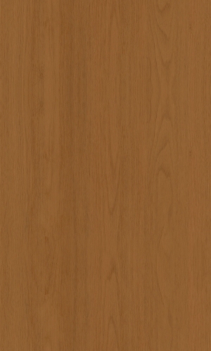ModernWood Texture