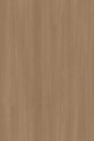 ModernWood Texture