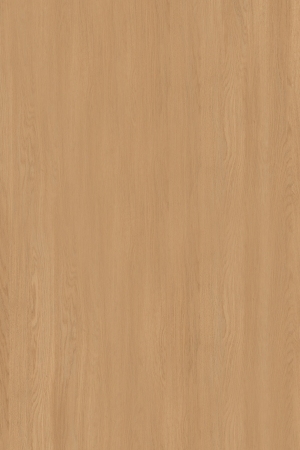 ModernWood Texture