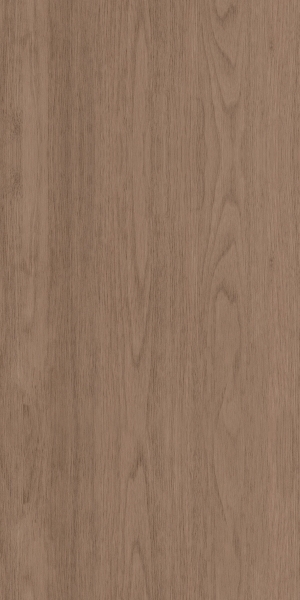ModernWood Texture