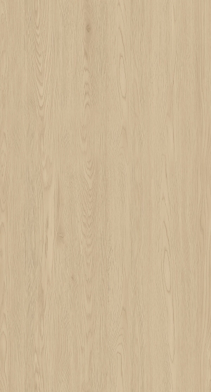 ModernWood Texture