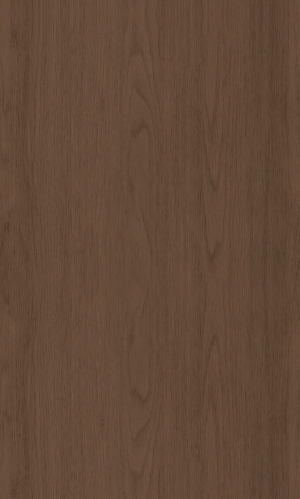ModernWood Texture
