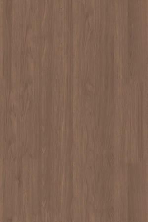 ModernWood Texture