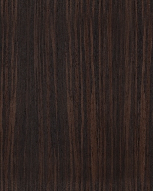 ModernWood Texture