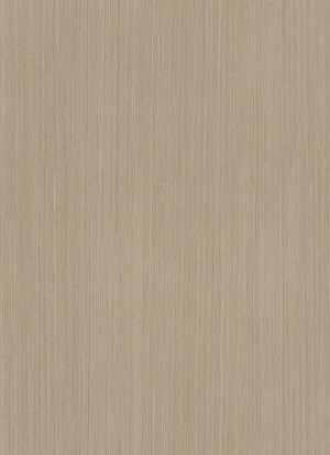 ModernWood Texture