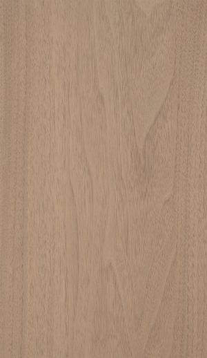 ModernWood Texture