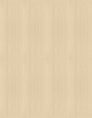 ModernWood Texture