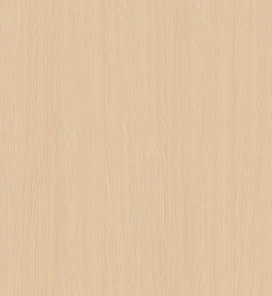 ModernWood Texture