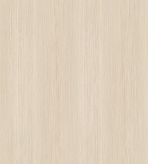 ModernWood Texture