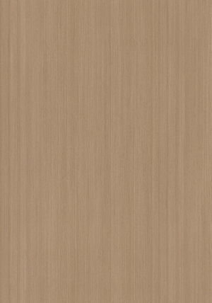 ModernWood Texture