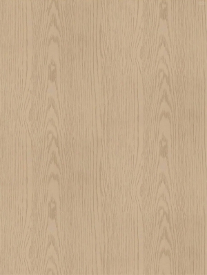 ModernWood Texture