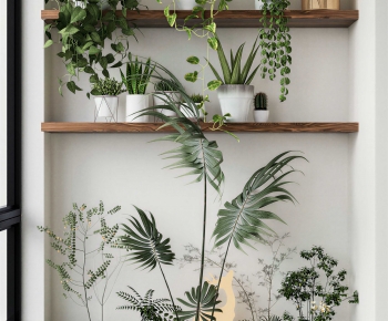 Modern Potted Green Plant-ID:749397992