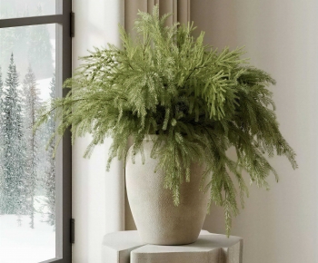 Wabi-sabi Style Potted Green Plant-ID:285156019
