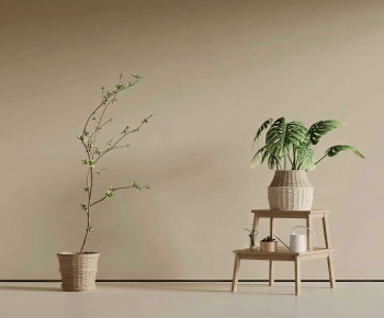 Modern Potted Green Plant-ID:536022902