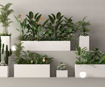 Modern Flower Bed, Flower Bowl, Flower Box-ID:410907982