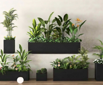 Modern Flower Bed, Flower Bowl, Flower Box-ID:379681113