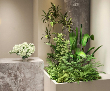 Modern Plant Landscaping-ID:748861073