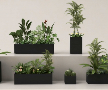 Modern Flower Bed, Flower Bowl, Flower Box-ID:227077016