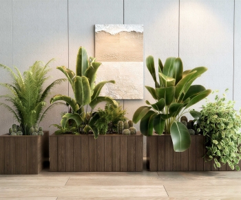 Modern Flower Bed, Flower Bowl, Flower Box-ID:611741071