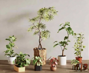 Modern Ground Green Plant Potted Plants-ID:128443969