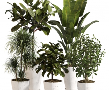 Modern Ground Green Plant Potted Plants-ID:825418008