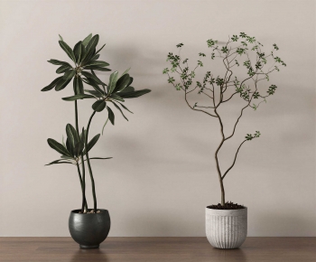 Modern Ground Green Plant Potted Plants-ID:276855959