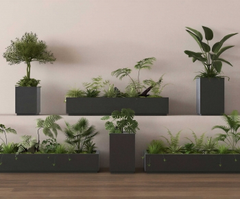 Modern Flower Bed, Flower Bowl, Flower Box-ID:476094965