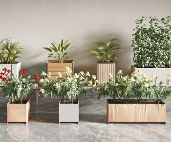 Modern Flower Bed, Flower Bowl, Flower Box-ID:157219892