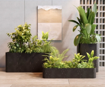 Modern Flower Bed, Flower Bowl, Flower Box-ID:124177935