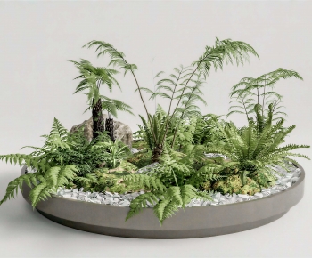 Modern Flower Bed, Flower Bowl, Flower Box-ID:684061146