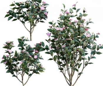 Modern Tree-ID:700627098