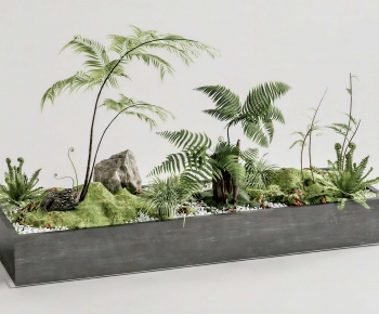 Modern Plant Landscaping-ID:798593046