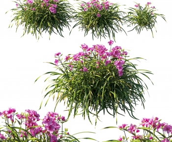 Modern Flowers And Grass-ID:501286034