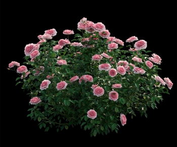 Modern Flowers And Grass-ID:657522925