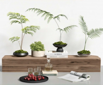 Modern Bonsai-ID:662276032