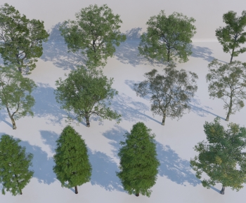 Modern Tree-ID:613184933