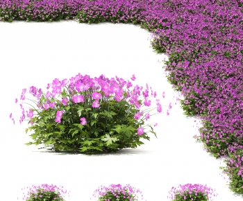 Modern Flowers And Grass-ID:246020087