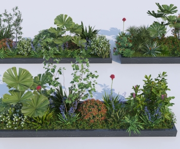 Modern Plant Pile-ID:590281966