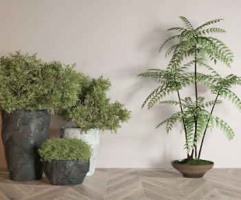 Modern Potted Green Plant-ID:805437099