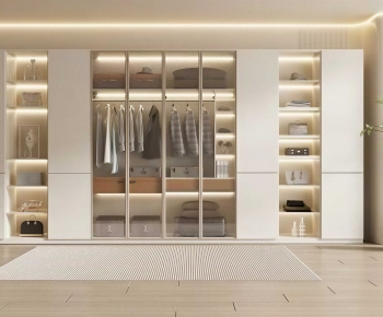Modern Clothes Storage Area-ID:179903984