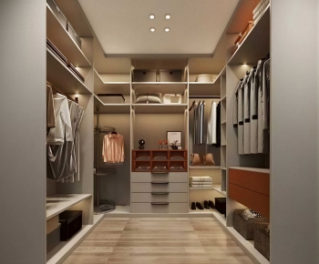 Modern Clothes Storage Area-ID:690763959