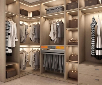 Modern Clothes Storage Area-ID:524776949