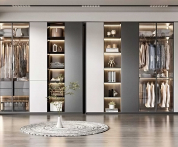 Modern Clothes Storage Area-ID:332463982
