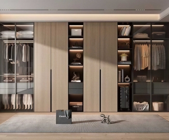 Modern Clothes Storage Area-ID:155010948
